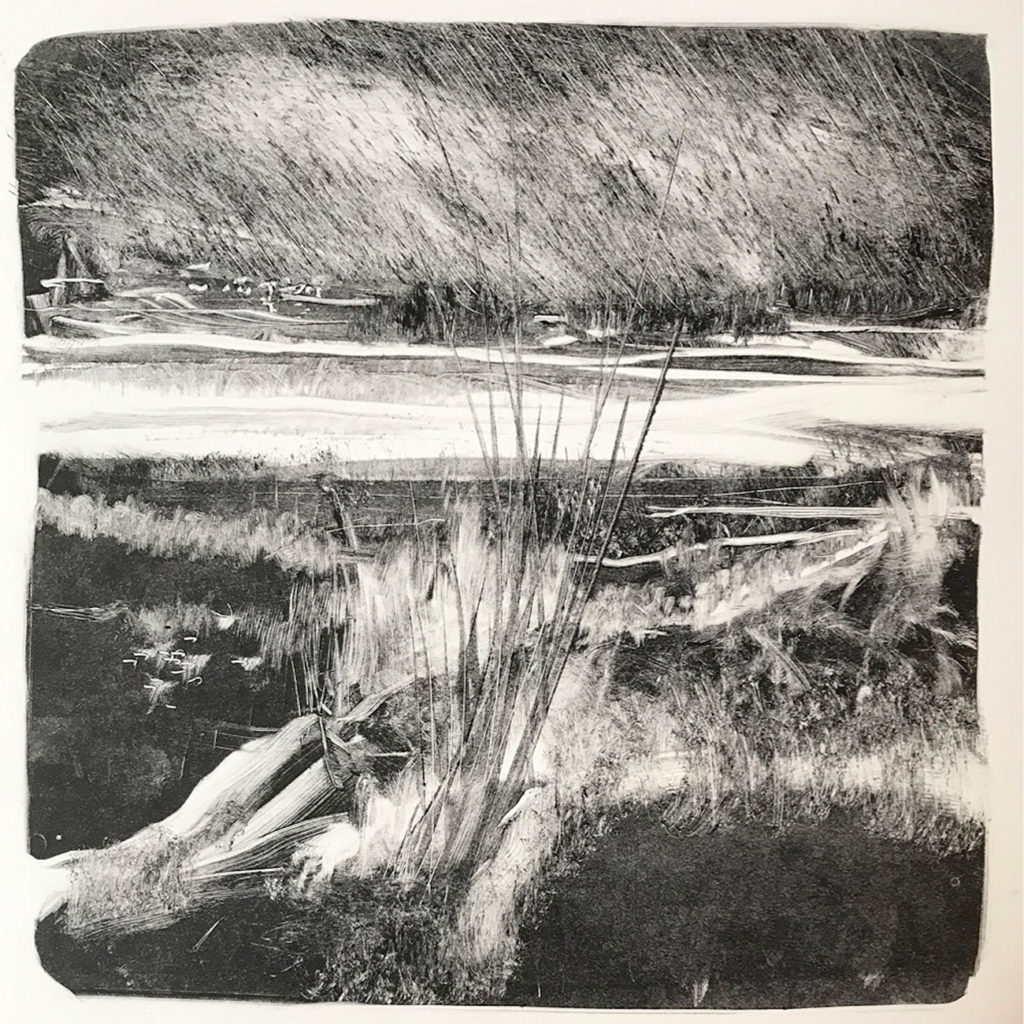 From The Tree Collection 11