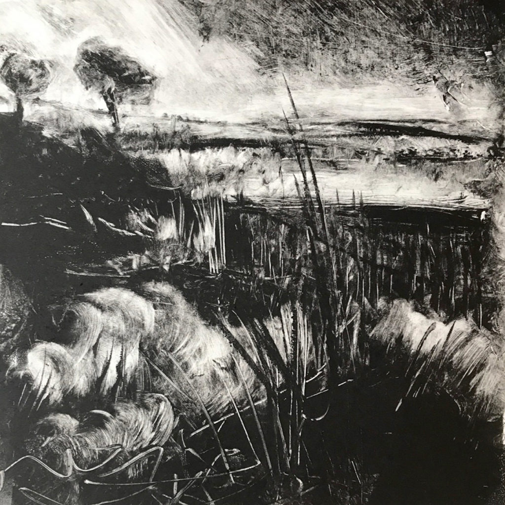 From The Tree Collection